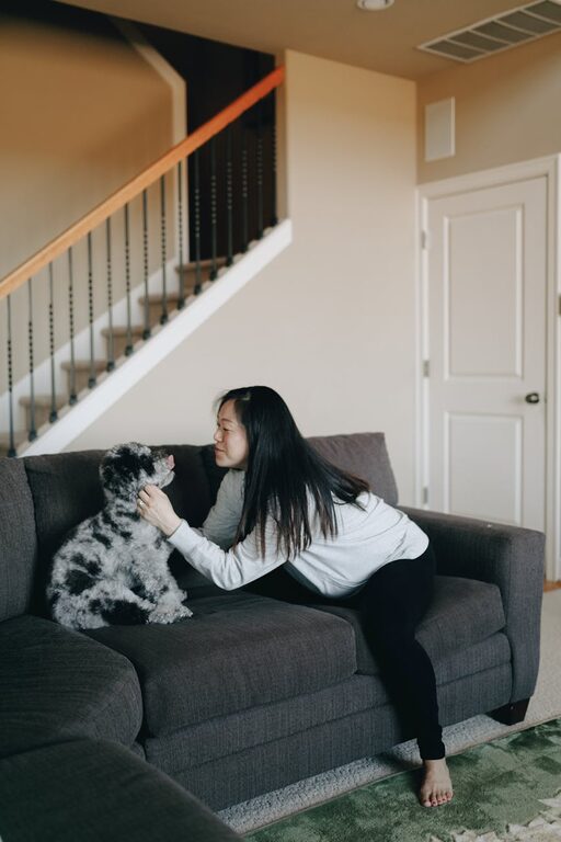 How to Set Up a Cozy and Pet-Friendly Home Corner